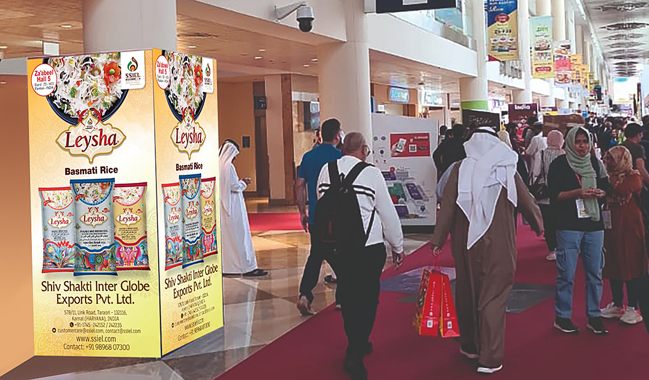 Leysha — Tower Box & POS Display